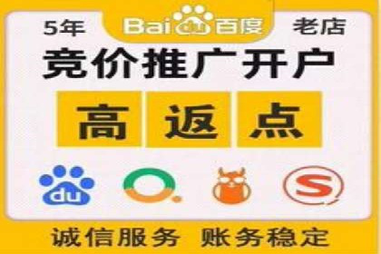 百度优化推广策略解析与应用案例